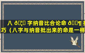 八 🦟 字纳音比合论命 🐶 技巧（八字与纳音批出来的命是一样的么）